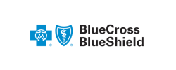 bluecross blushield